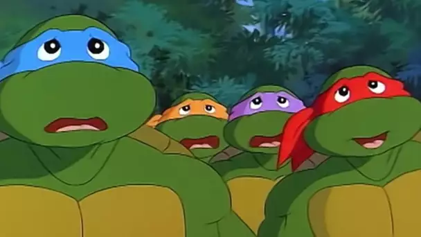 Tortues Ninja | Une incroyable histoire