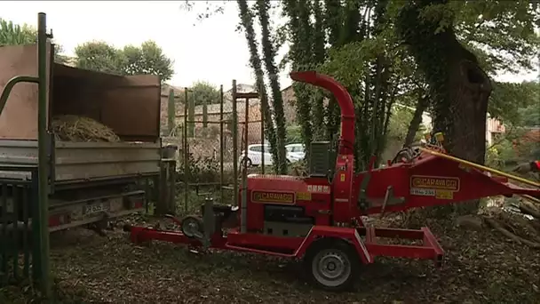 Tarn : un broyeur de végétaux itinérant change la vie des jardiniers en herbe