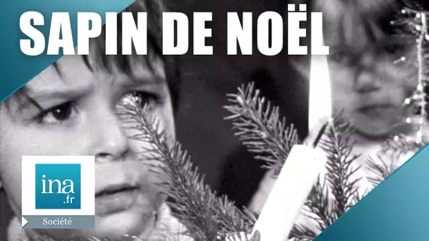 1966 : Les origines du sapin de Noël en Alsace | Archive INA