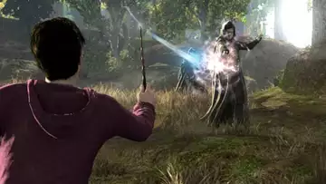 Un MMORPG Harry Potter a été annulé par EA