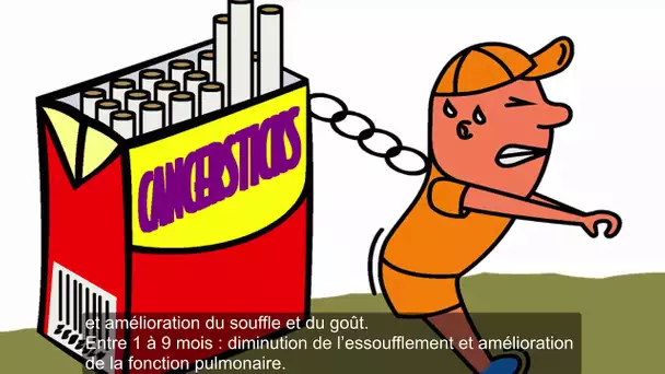 Bonne Nouvelle Pour Les Fumeurs : Cette Boisson Naturelle Nettoiera Vos Poumons Très Rapidement