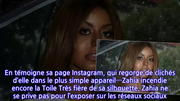 PHOTO Zahia pose à moitié nue, les seins cachés par… des oursins