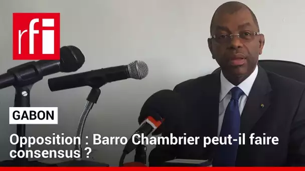 Gabon : une opposition unie derrière Alexandre Barro Chambrier ? • RFI