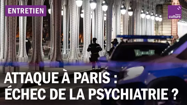 Attaque à Paris : quelles réponses psychiatriques pour les radicalisés ?