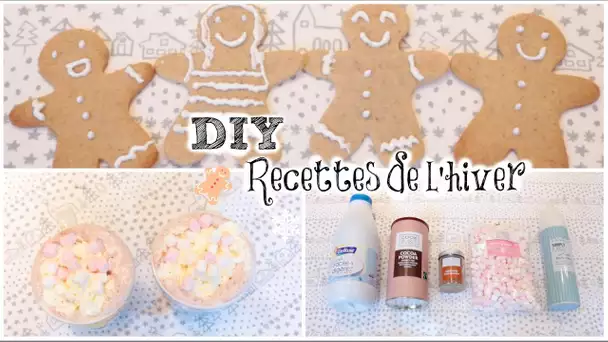 [ DIY n°3 ] : Recettes de l&#039;Hiver rapides et faciles !