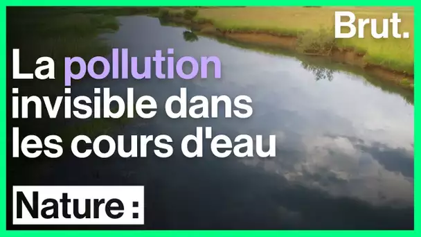 Médicaments et pesticides : une pollution invisible