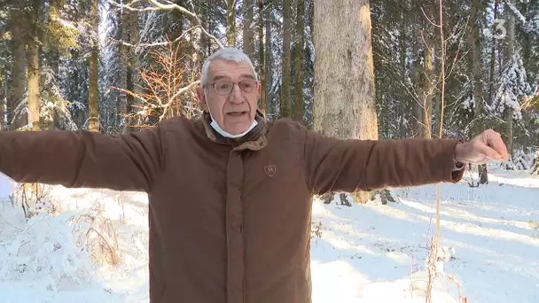 Le sapin président dans le forêt du Russey sera abattu
