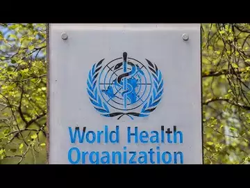 Covid-19 : la pandémie a fait entre 13 et 17 millions de morts à la fin 2021 (OMS)