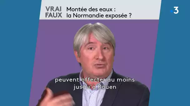 Vrai / Faux :  montée des eaux, la Normandie exposée ? Stéphane Costa répond à nos questions