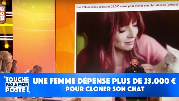 Une femme dépense plus de 23.000 euros pour cloner son chat qui venait de mourir