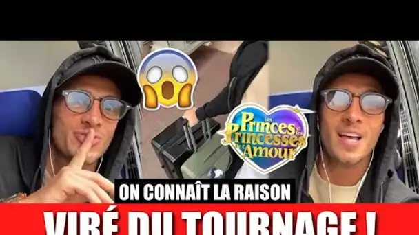 DYLAN VIRÉ DU TOURNAGE DES PRINCES DE L’AMOUR 9 ! 😱 ON CONNAÎT LA RAISON ! (LPDLA9)