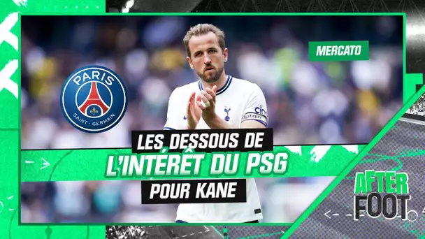 Mercato : Les dessous de l'intérêt du PSG pour Kane