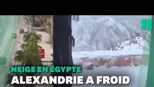 Les images d'Alexandrie et du Mont Sinaï recouverts d'une neige exceptionnelle