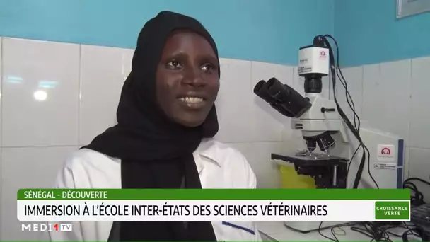 #CroissanceVerte .. Sénégal-découverte:  immersion à l'école inter-états des sciences vétérinaires