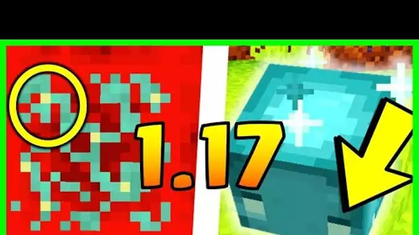 5 BUGS QUI VONT RUINER MINECRAFT 1.17 ! 😢