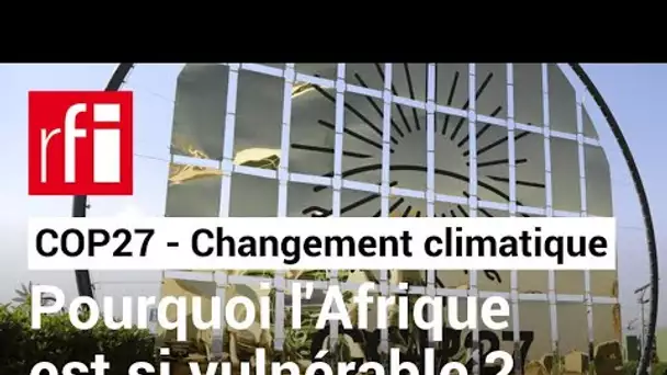 COP27 : pourquoi l'Afrique est-elle si vulnérable au changement climatique ? • RFI