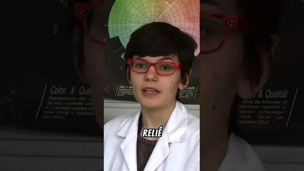 Découvrez l'avenir des écrans textiles flexibles ! 🌟