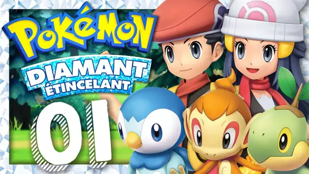 POKEMON DIAMANT ETINCELANT EPISODE 1 : LE CHOIX DE NOTRE POKEMON STARTER ! NINTENDO SWITCH