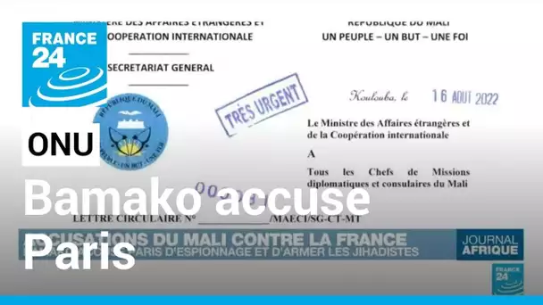Bamako accuse Paris d'espionnage et d'armer les jihadistes • FRANCE 24