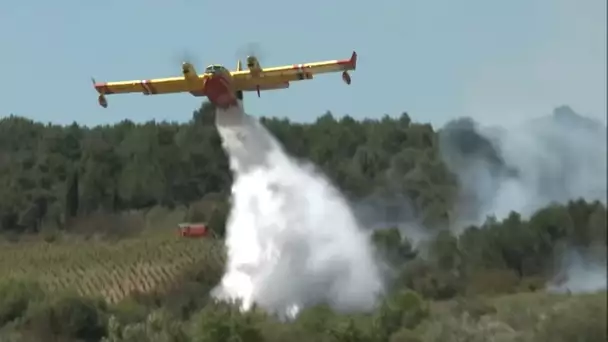 Les canadairs mènent un combat acharné contre les flammes