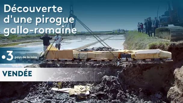 Vendée : découverte d’une pirogue gallo-romaine dans le marais de l’île d’Olonne