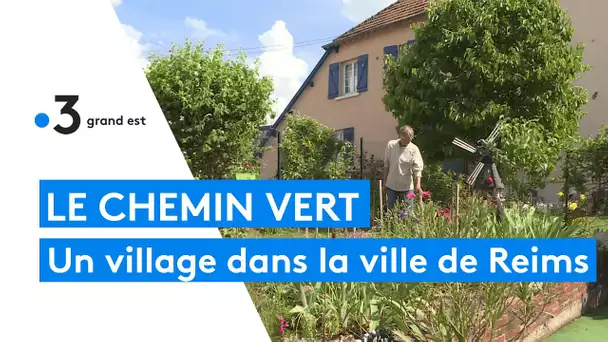 Reims : le quartier du Chemin Vert, une cité-jardin chargée d'Histoire