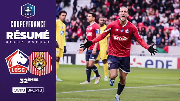 Résumé - Le LOSC sans pitié pour le Golden Lion dans un FESTIVAL DE BUTS : 12-0 !