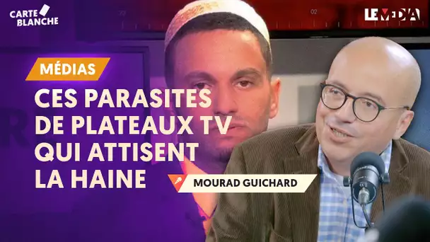 ENTHOVEN, FOUREST, CHALGHOUMI, EL KHATMI... : CES PARASITES DE PLATEAUX TV QUI ATTISENT LA HAINE