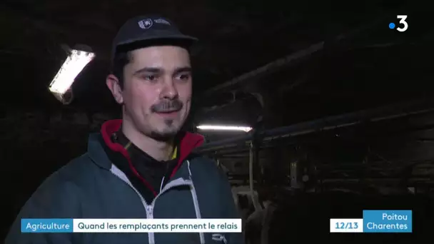 Agriculture : service de remplacement en Charente