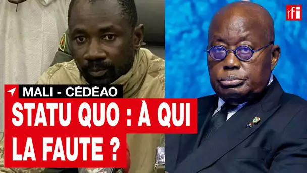 Au Mali, c'est l'heure des réactions aux conclusions de la Cédéao : statu quo, à qui la faute ? •RFI