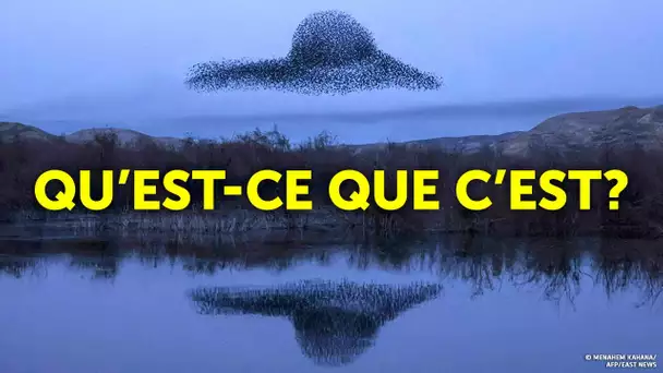 13 Phénomènes Inhabituels Qui Ne Semblent Pas Du Tout Naturels