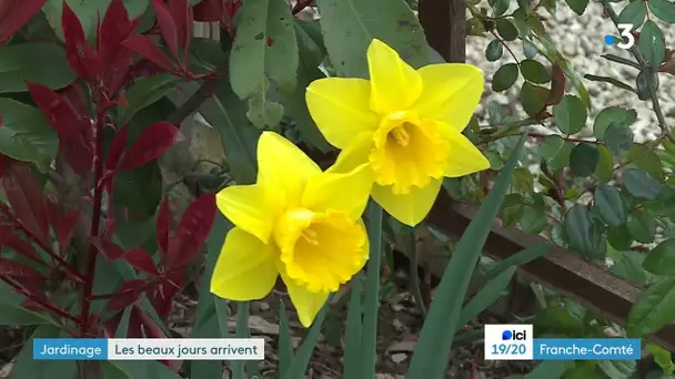 Haute-Saône : les beaux jours arrivent dans les jardins