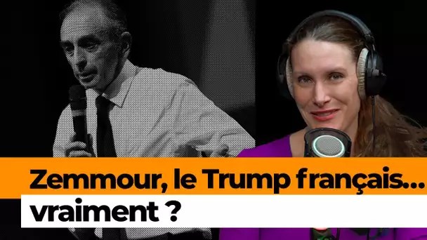 Zemmour: un «rejet de la politique» française par les jeunes?