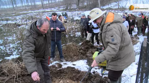 Adapter la forêt au changement climatique avec la biodynamie