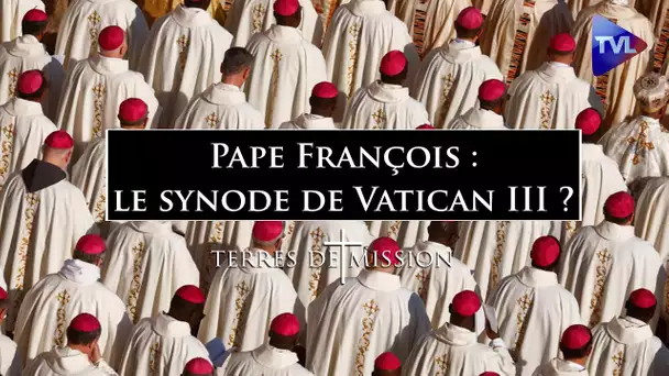 Pape François : le synode de Vatican III ? - Terres de Mission n°332 - TVL