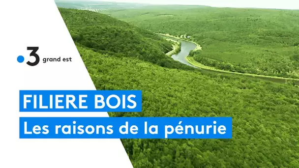 Filière bois : pénurie, les raisons de la crise en Champagne-Ardenne