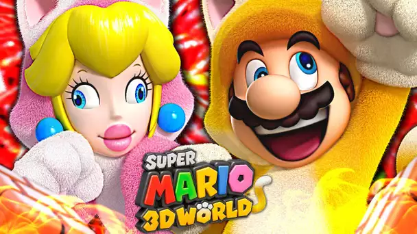 ON FAIT N'IMPORTE QUOI ! SUPER MARIO 3D WORLD CO-OP NINTENDO SWITCH