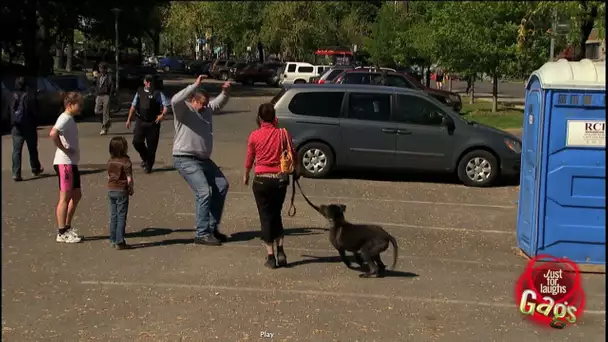 Peur du chien policier