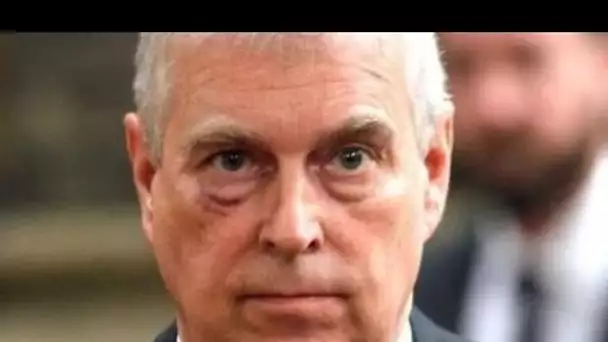 Le prince Andrew espérait toujours un retour royal alors que les assistants "avaient promis de trouv