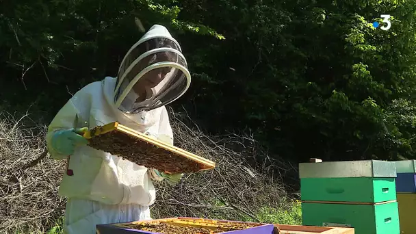 Son nouveau métier, apicultrice : Anne Emilie Sordel travaillait dans la pharmaceutique en Suisse