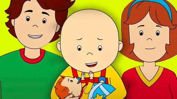 Joyeuses Fêtes | Caillou en Français