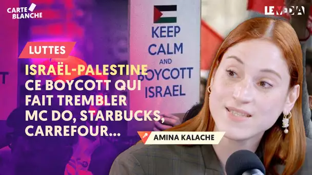 ISRAËL, MC DO, CARREFOUR... CETTE VAGUE DE BOYCOTT QUI LEUR FAIT PEUR