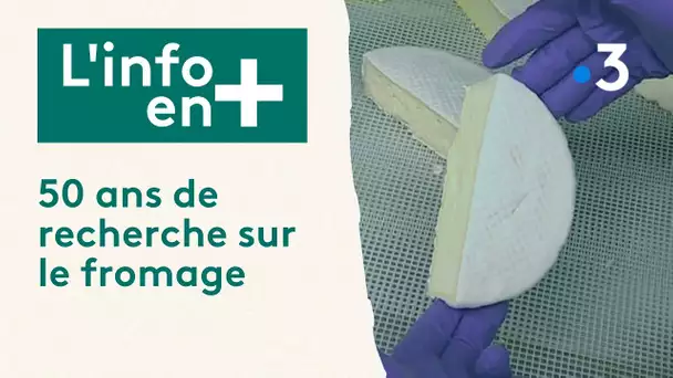 L'info en plus : 50 ans de recherche sur le fromage en Auvergne