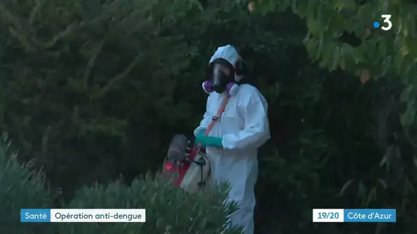 Un cas de dengue à Fayence dans le Var, opération de démoustication