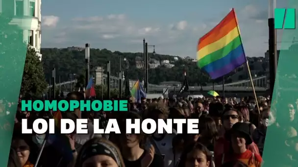 La Hongrie adopte sa loi controversée interdisant la "promotion" de l'homosexualité