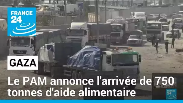 Le PAM annonce l'arrivée à Gaza de 750 tonnes d'aide alimentaire • FRANCE 24