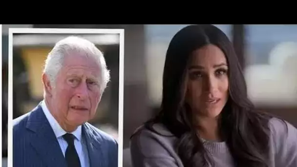 Le roi Charles et Camilla sont «fatigués» des critiques publiques incessantes de Harry et Meghan