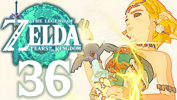 ZELDA TEARS OF THE KINGDOM #36 | L'EPEE DE LEGENDE !