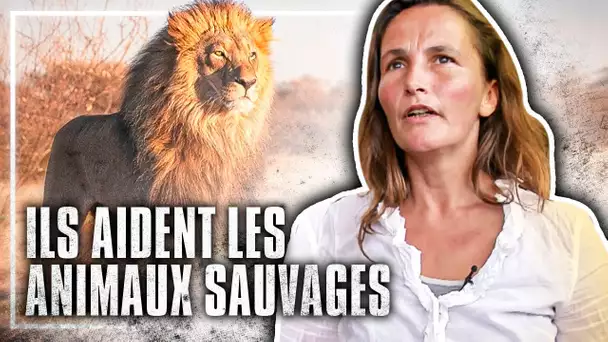 Ils viennent en aide aux animaux sauvages