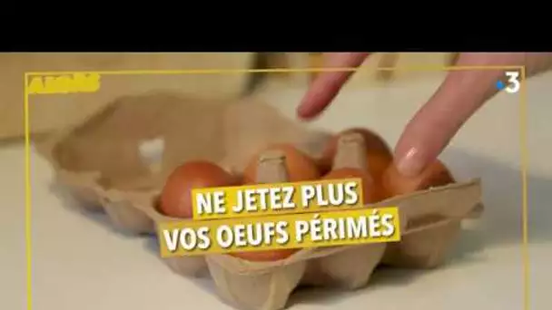 Alors on s'adapte ! Recyclez vos œufs